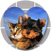 Love Dogs and Cats logo.